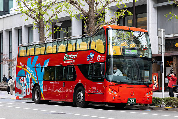 Hop On Hop Off Bus Tours